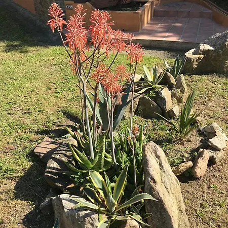 A La Vallee Heureuse Daire *