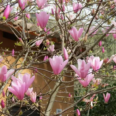 Daire A La Vallee Heureuse