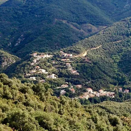 Apartament A La Vallee Heureuse Sorède