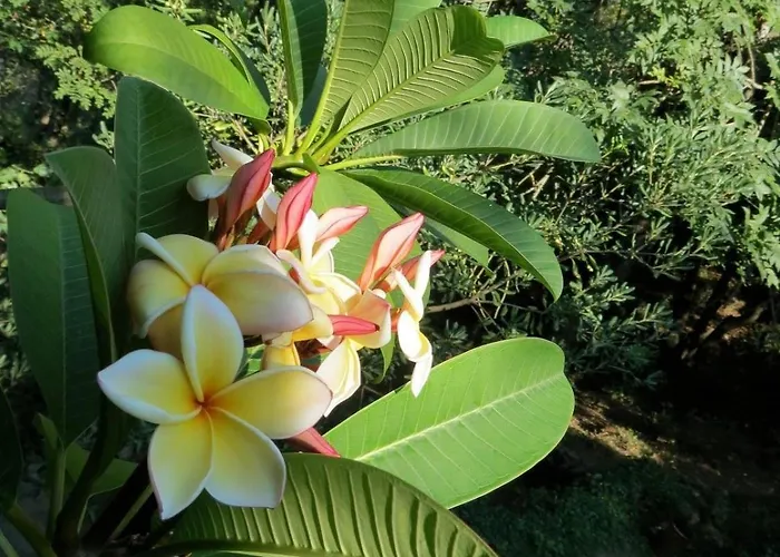 A La Vallee Heureuse Daire