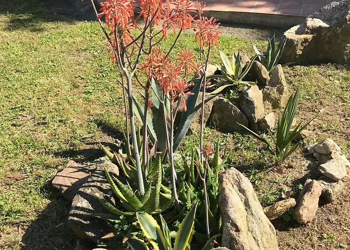 A La Vallee Heureuse Daire *