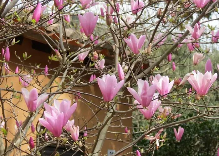 Daire A La Vallee Heureuse